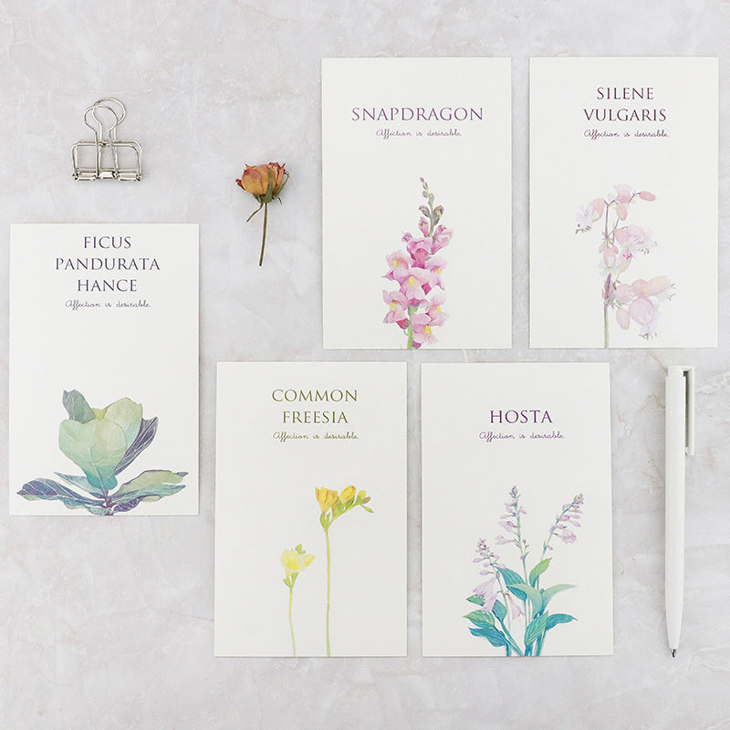 Cold Wind Simple Creative Postcard Set Student Stationery