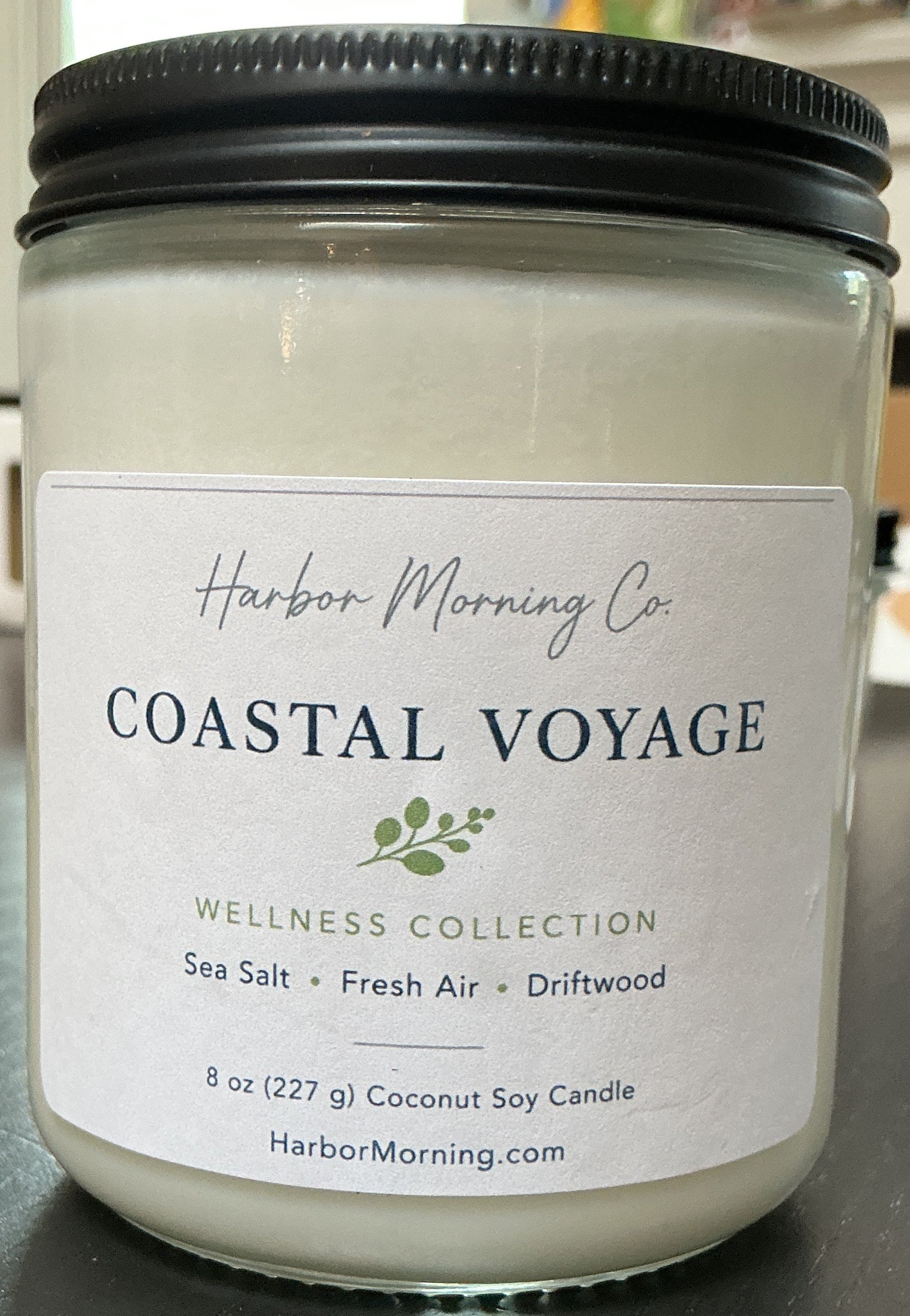 Coastal voyage 8oz soy candle