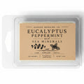 Harbor Morning Co. Eucalyptus Peppermint and Sea Minerals soy wax melts in clear clamshell packaging
